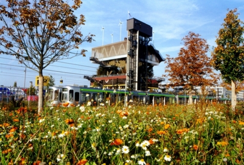 EXPO 03