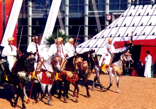 EXPO 12