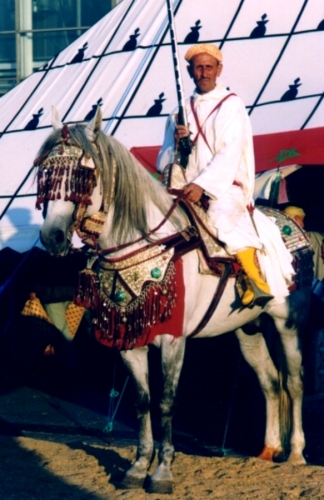 EXPO 13